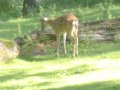 IMGP0783.JPG